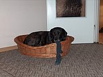 2005-10-05.JPG