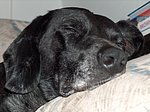 2005-10-24.JPG