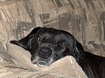 2005-11-12.JPG