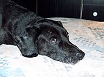 2005-12-11 (1).JPG