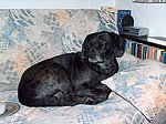 2005-12-12.JPG