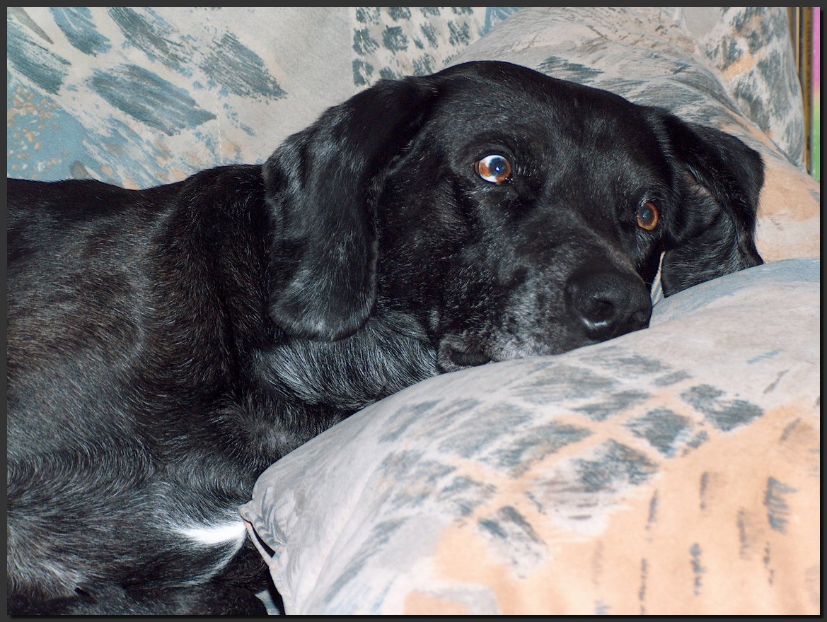 2006-01-07 (1).JPG