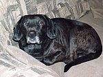 2006-01-24.JPG