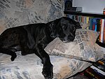 2006-02-16 (2).JPG