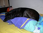 2006-02-16 (3).JPG
