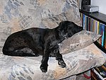 2006-02-16 (4).JPG