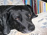 2006-02-18 (1).JPG