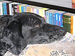 2006-02-18 (2).JPG