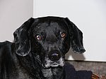 2006-02-20.JPG