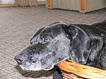 2006-03-11.JPG
