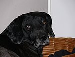2006-03-14.JPG