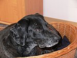 2006-03-23 (2).JPG