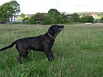 2006-06-04 (1).JPG