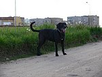 2006-06-04 (2).JPG