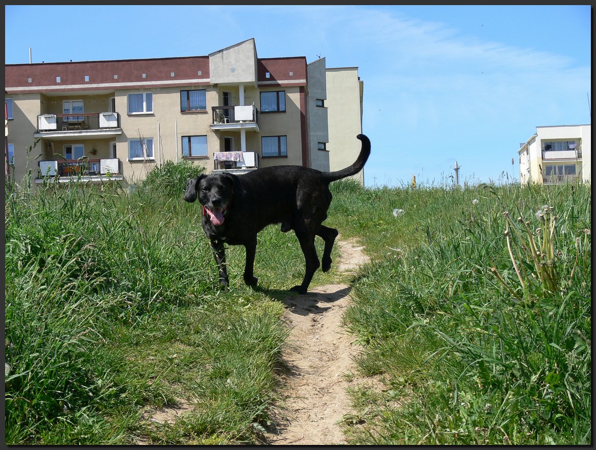 2007-05-24 (4).JPG