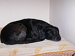 2007-03-04 (5).JPG