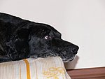 2007-03-04 (6).JPG