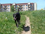 2007-05-24 (3).JPG