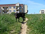2007-05-24 (4).JPG