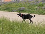 2007-06-14 (2).JPG