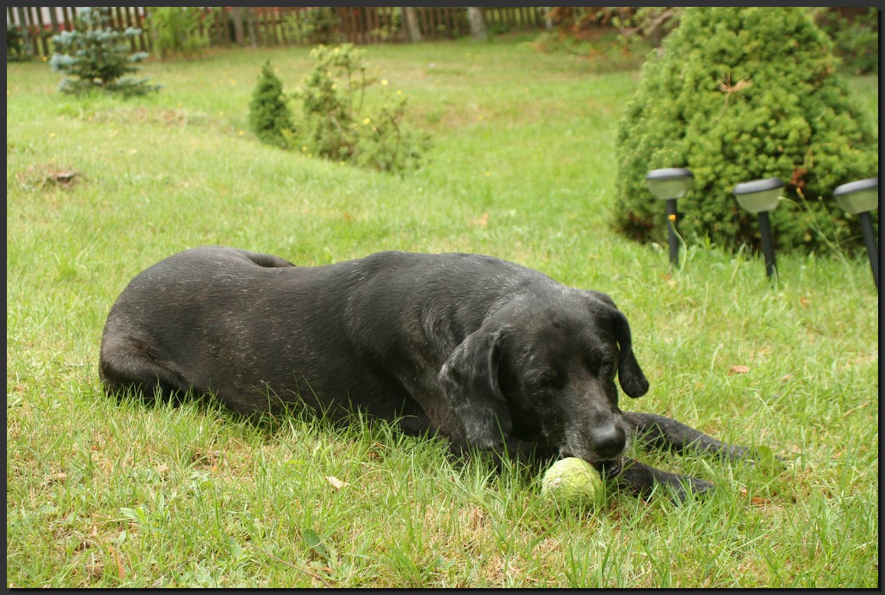 2008-08-10 (2).JPG