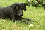 2008-08-10 (4).JPG